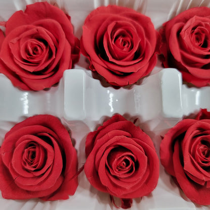 12 Red Preserved Roses: DIY Floral Arrangements & Wedding Decor