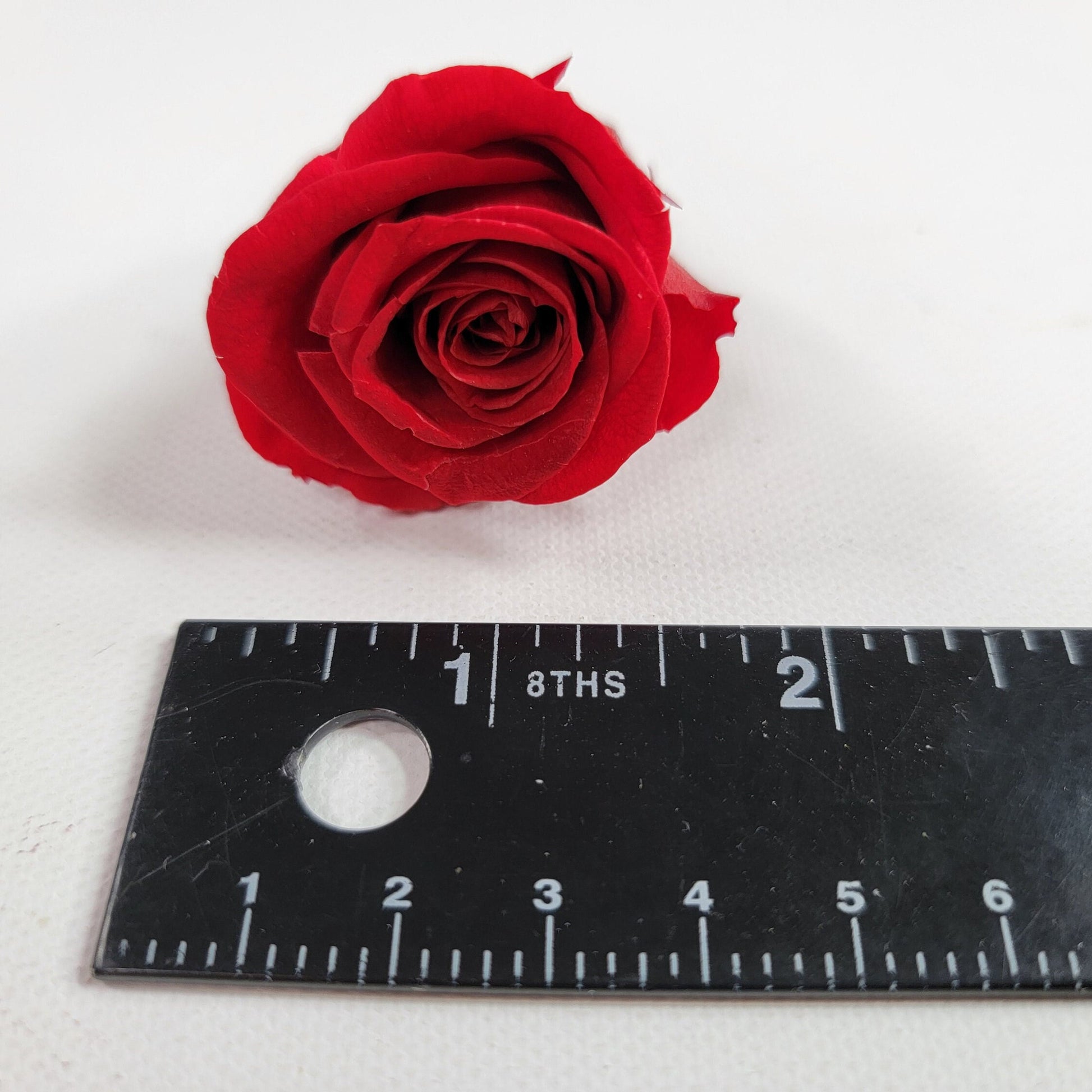 12 Red Preserved Roses: DIY Floral Arrangements & Wedding Decor