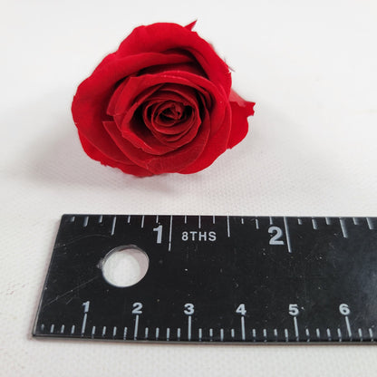 12 Red Preserved Roses: DIY Floral Arrangements & Wedding Decor