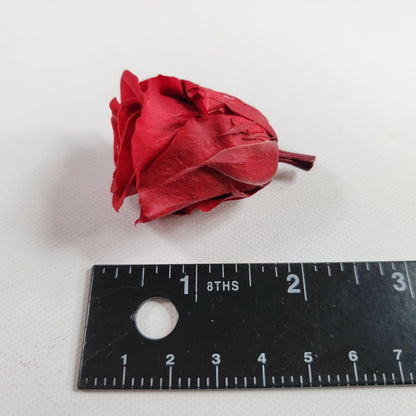 12 Red Preserved Roses: DIY Floral Arrangements & Wedding Decor