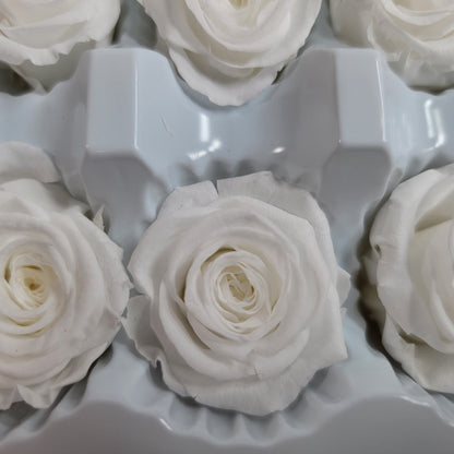 12 White Preserved Roses: DIY Floral Arrangements, Wedding Decor