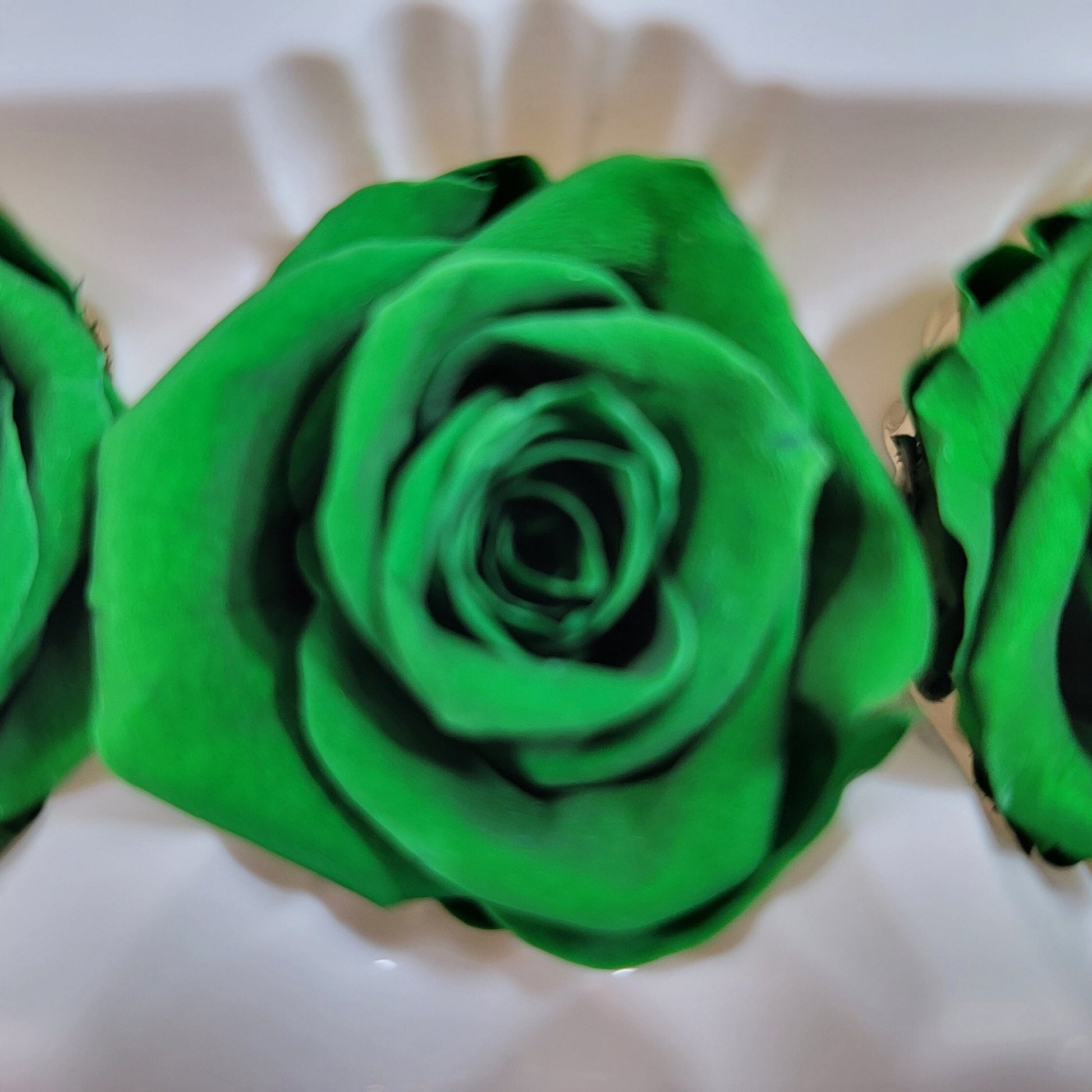 12 Dark Green Preserved Roses: DIY Floral Arrangements