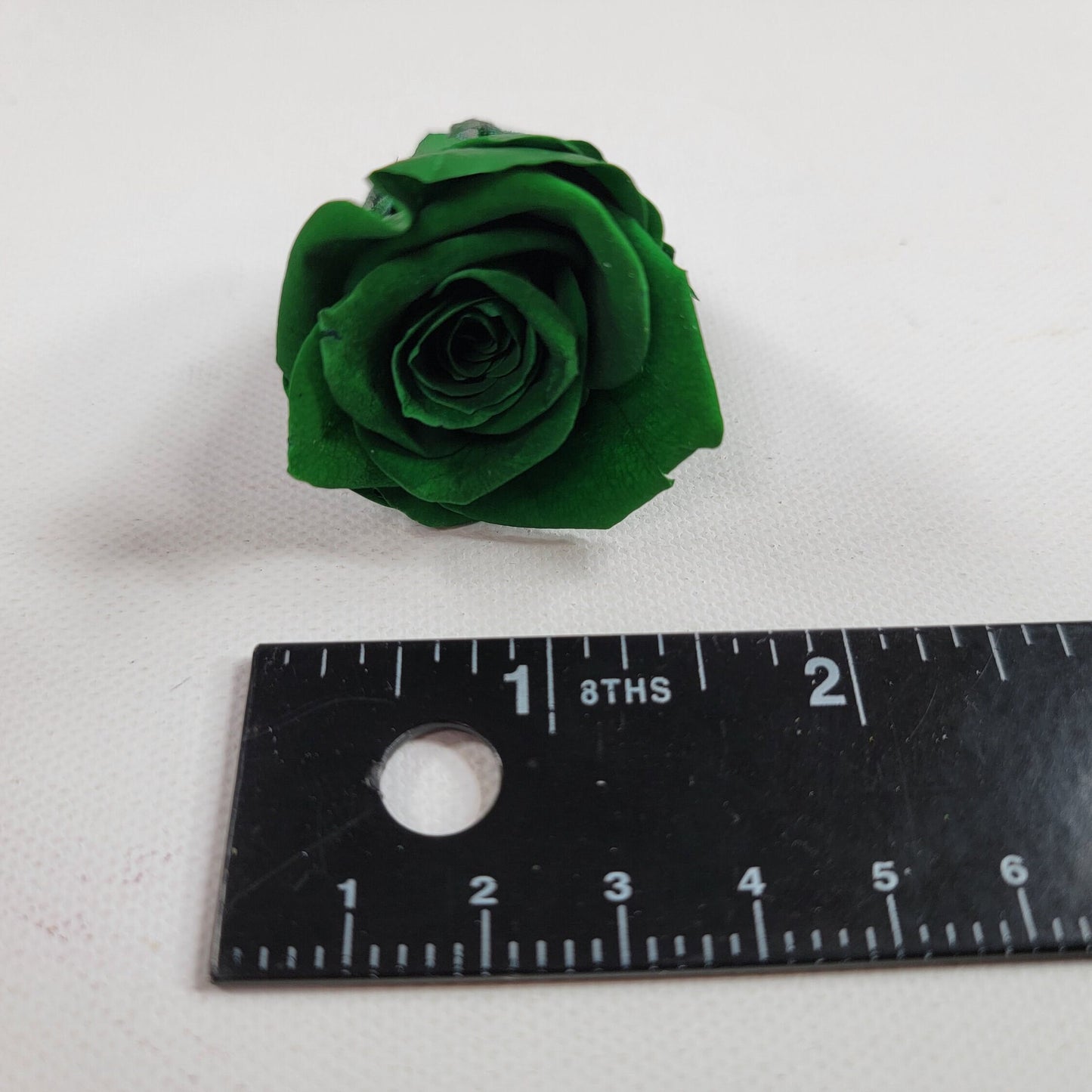12 Dark Green Preserved Roses: DIY Floral Arrangements