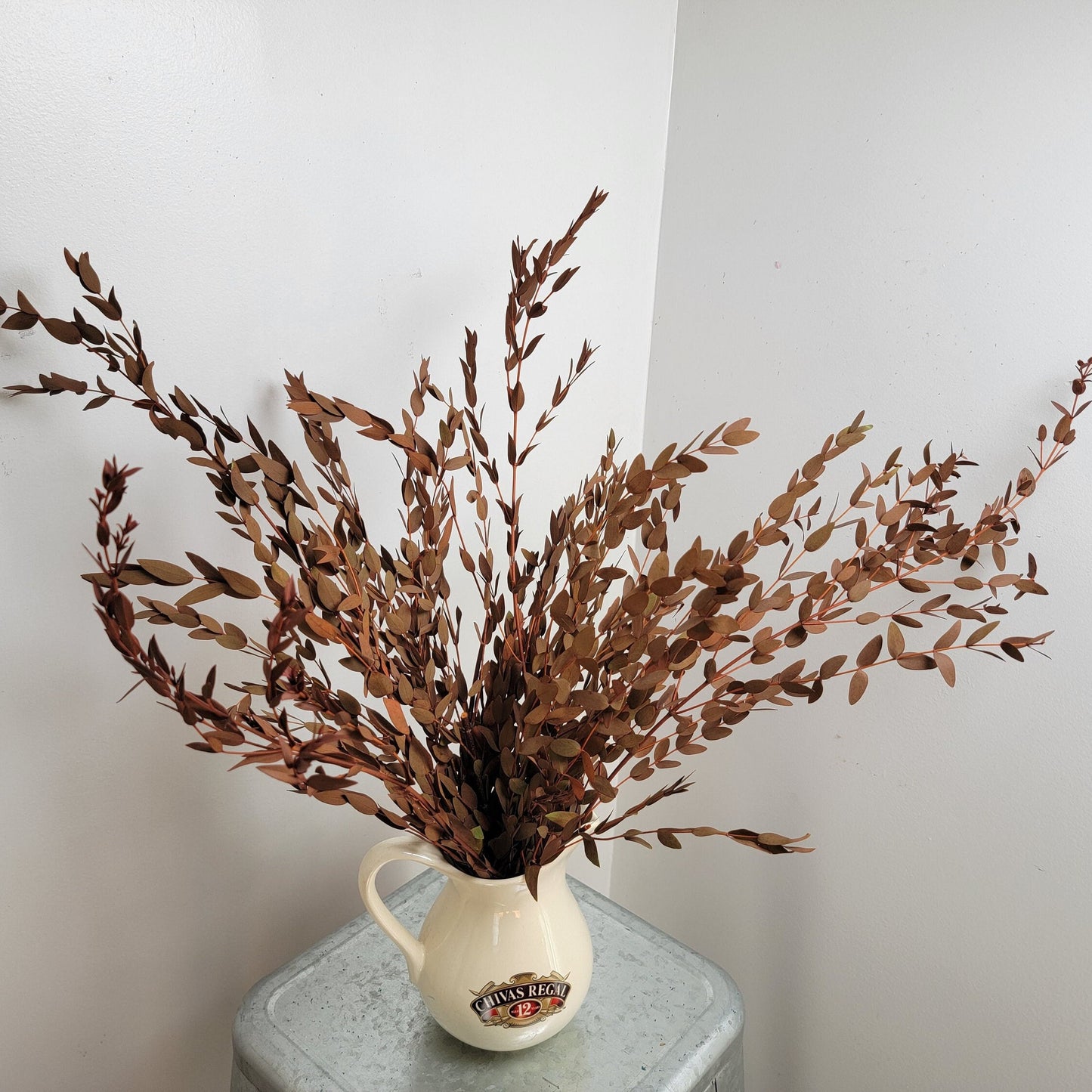 Orange Preserved Parvifolia Eucalyptus: Dried Small Leaf Stems