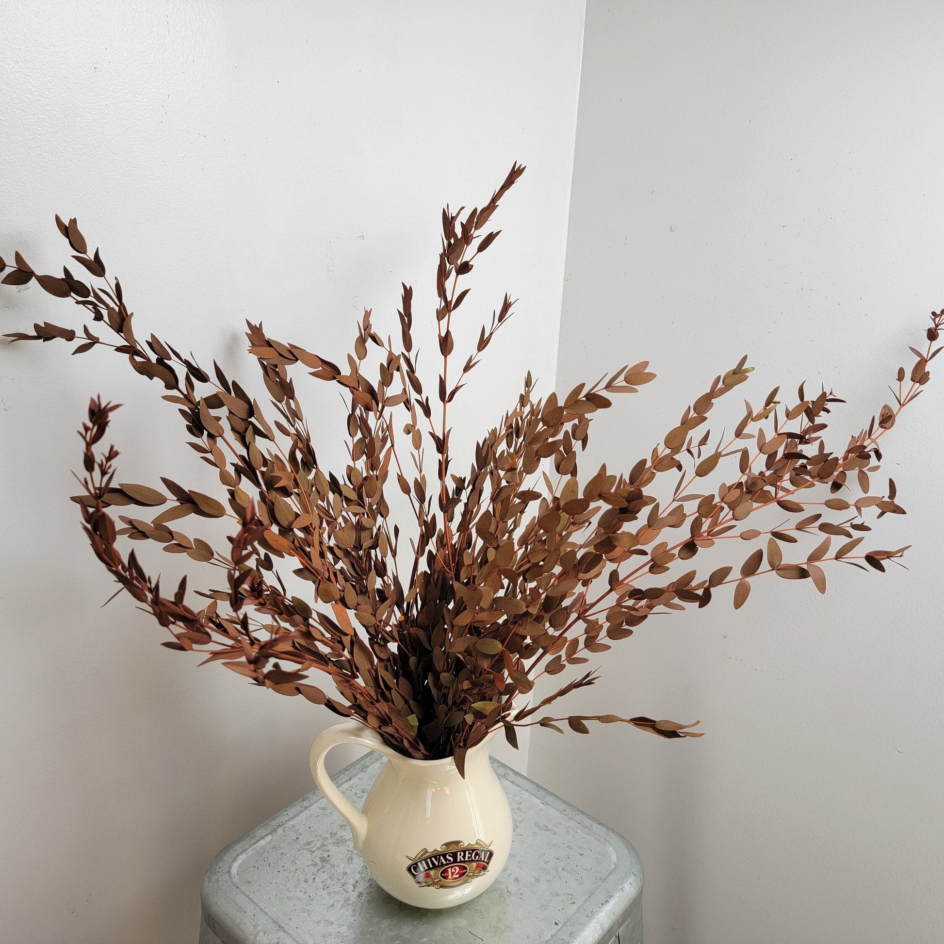Orange Preserved Parvifolia Eucalyptus: Dried Small Leaf Stems