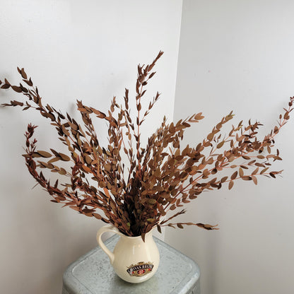 Orange Preserved Parvifolia Eucalyptus: Dried Small Leaf Stems