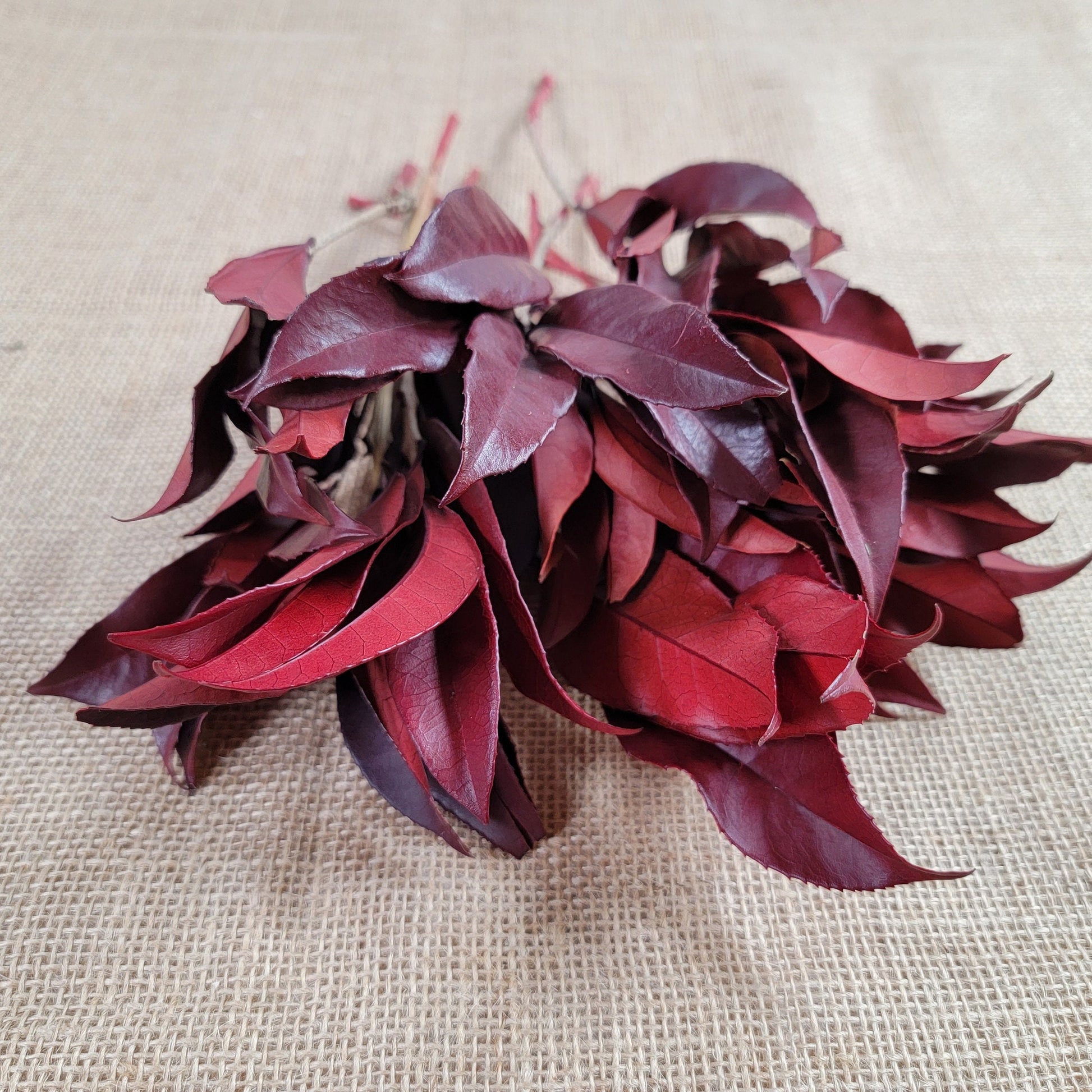 Preserved Osmanthus branches for Home flower arrangement and Garland decoration