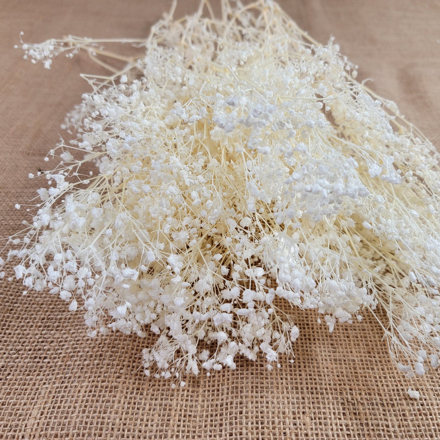 Preserved Baby's Breath: Natural Dried Gypsophilia, Blush Wedding Decor