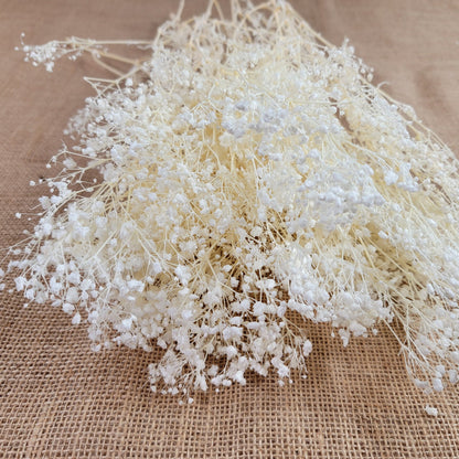Preserved Baby's Breath: Natural Dried Gypsophilia, Blush Wedding Decor