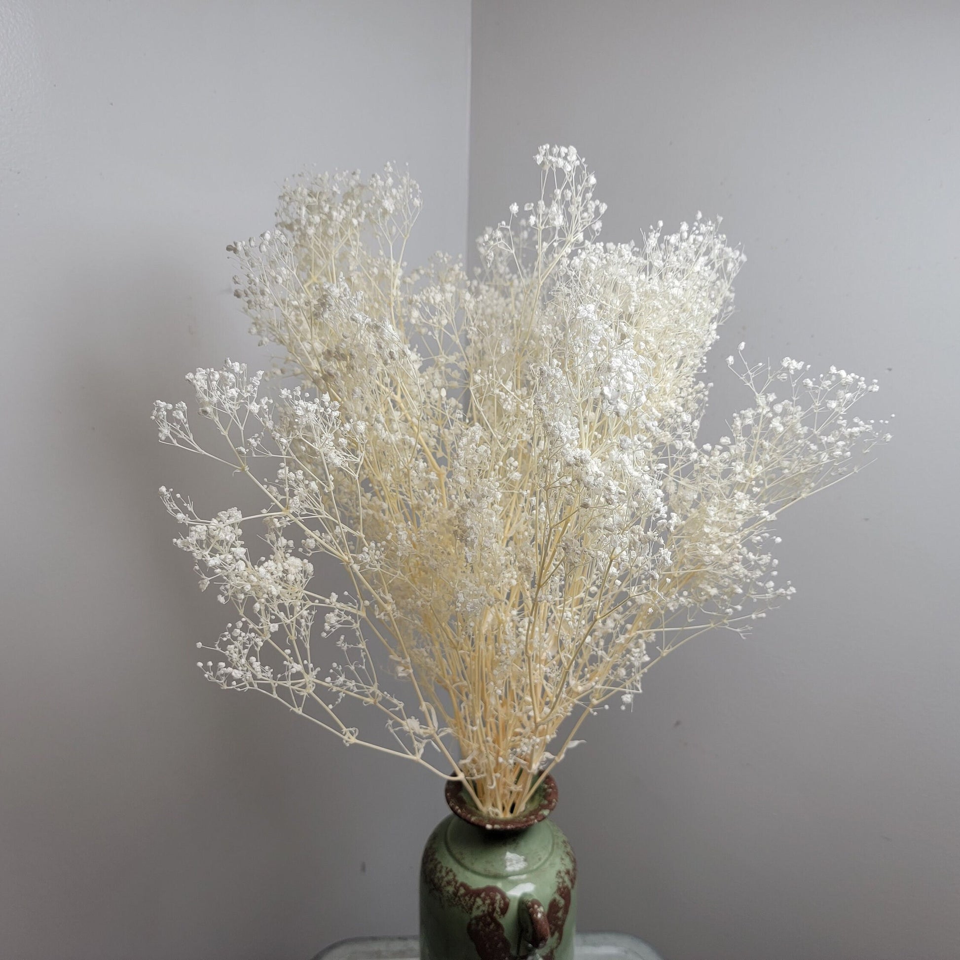 Preserved Baby's Breath: Natural Dried Gypsophilia, Blush Wedding Decor