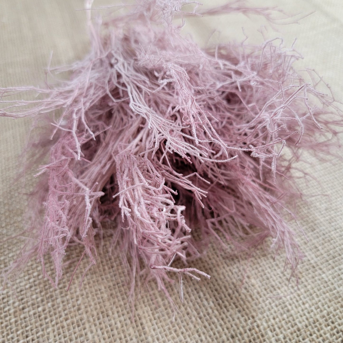 Preserved Dream Grass Columbine: Natural Dried Flower Arrangement