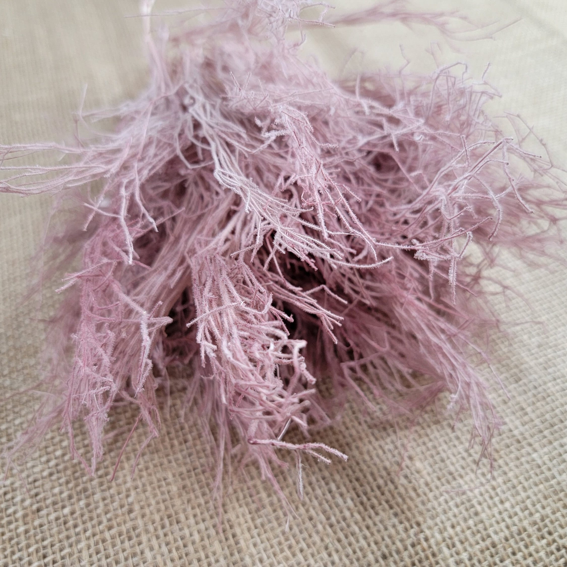 Preserved Dream Grass Columbine: Natural Dried Flower Arrangement