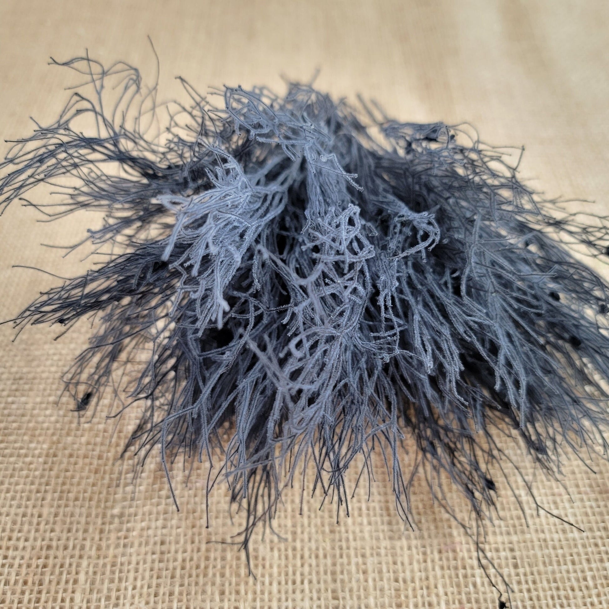 Preserved Dream Grass Columbine: Natural Dried Flower Arrangement
