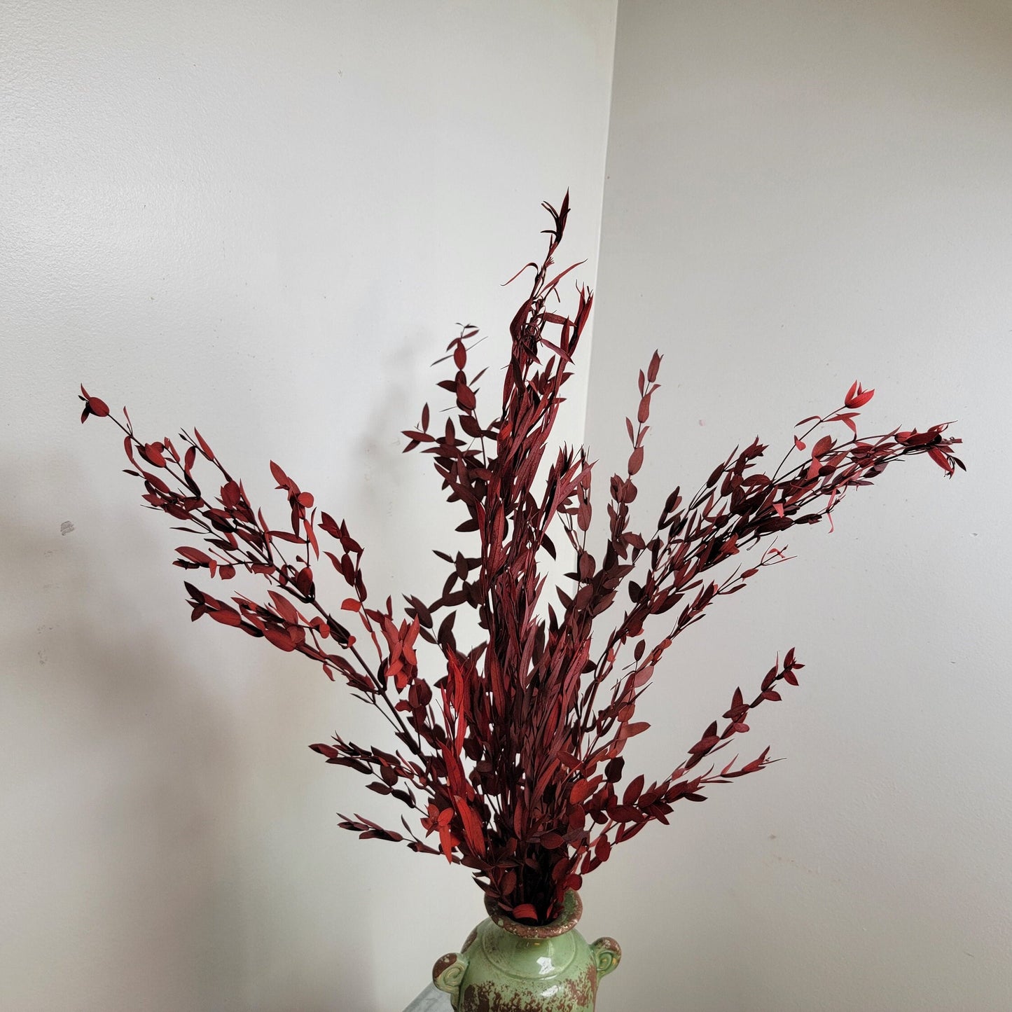 Red Preserved Eucalyptus: Small Leaf Parvifolia, Dried