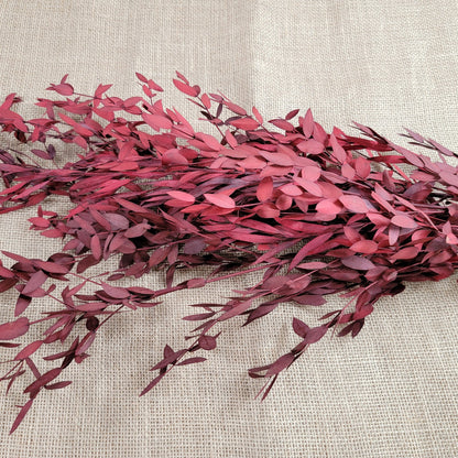 Red Preserved Eucalyptus: Small Leaf Parvifolia, Dried
