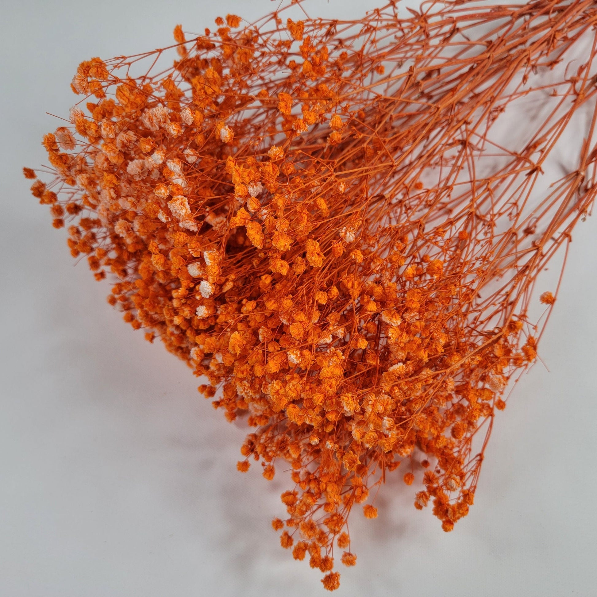 Orange Preserved Baby's Breath Bundle: Natural Gypsophila, Dried Flowers
