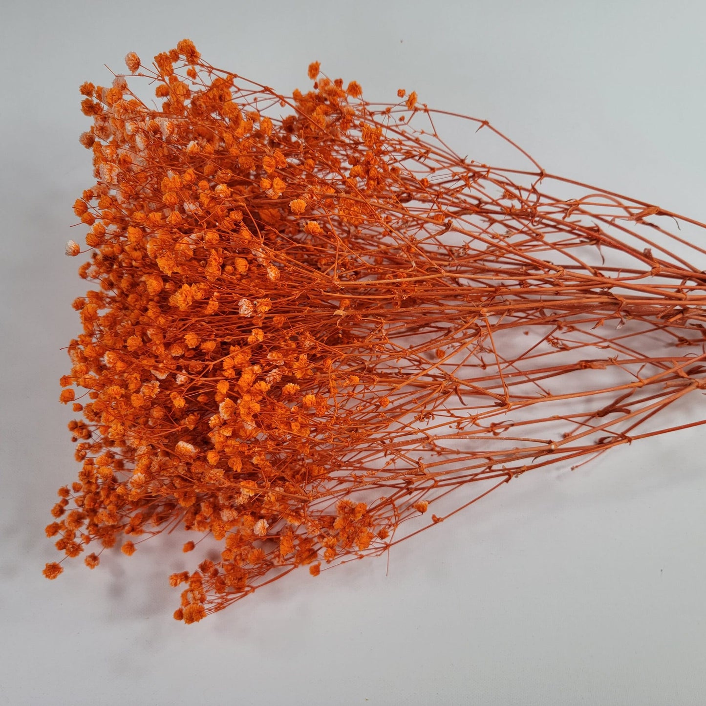 Orange Preserved Baby's Breath Bundle: Natural Gypsophila, Dried Flowers