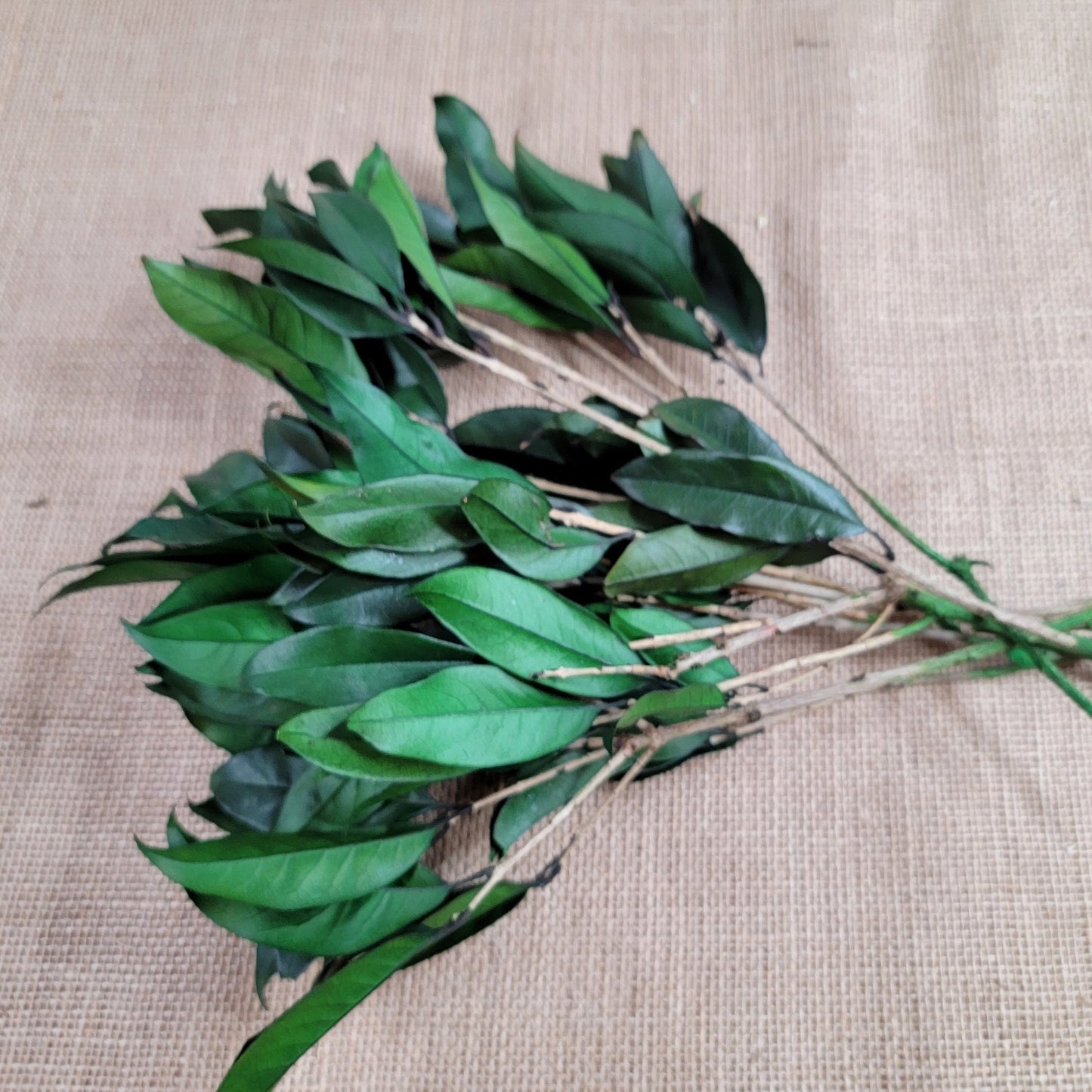 Preserved Osmanthus branches for Home flower arrangement and Garland decoration