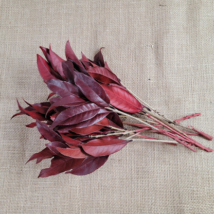 Preserved Osmanthus branches for Home flower arrangement and Garland decoration