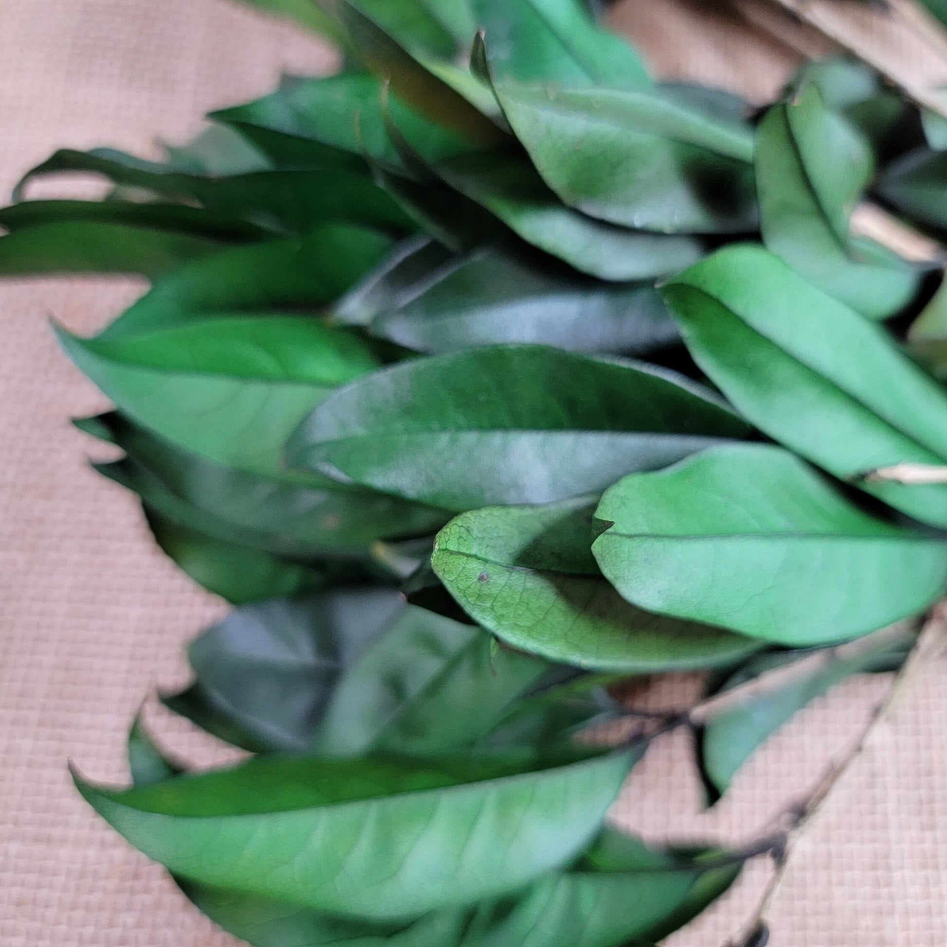 Preserved Osmanthus branches for Home flower arrangement and Garland decoration