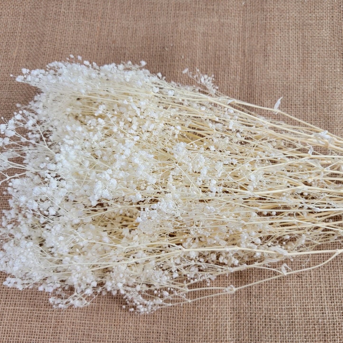 Preserved Baby's Breath: Natural Dried Gypsophilia, Blush Wedding Decor