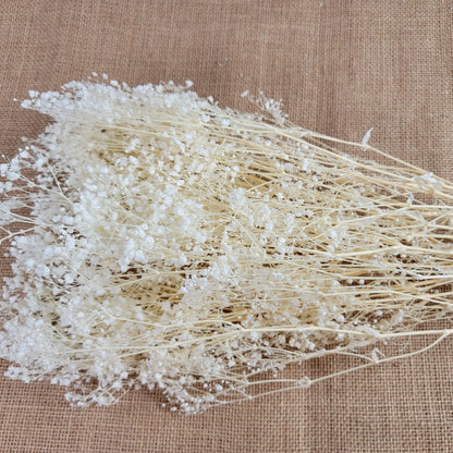 Preserved Baby's Breath: Natural Dried Gypsophilia, Blush Wedding Decor