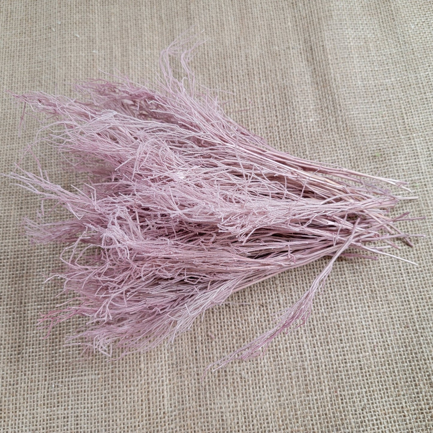 Preserved Dream Grass Columbine: Natural Dried Flower Arrangement
