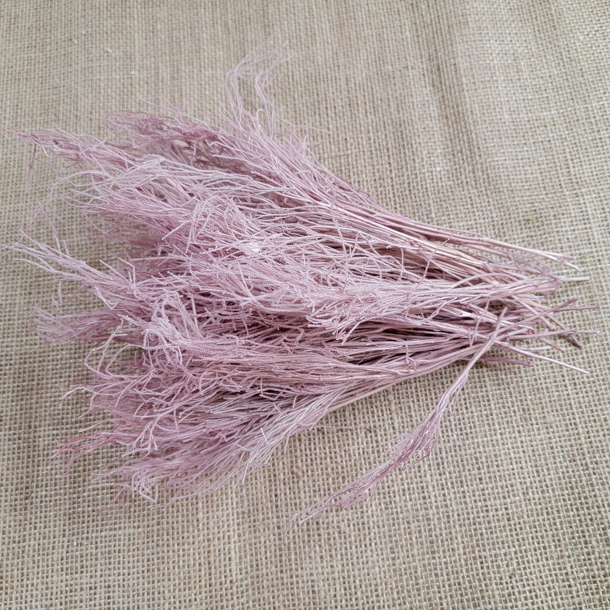 Preserved Dream Grass Columbine: Natural Dried Flower Arrangement