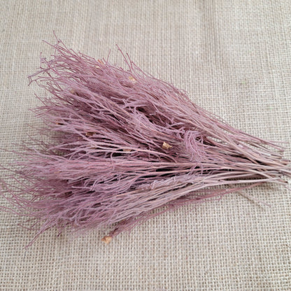 Preserved Dream Grass Columbine: Natural Dried Flower Arrangement