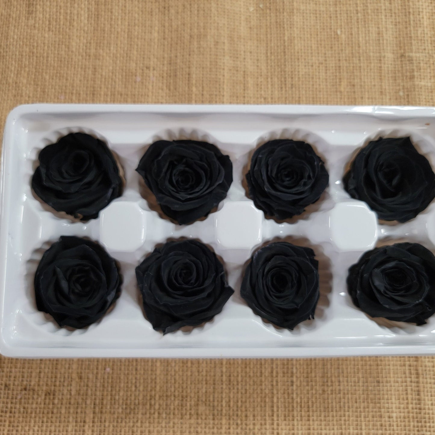 8 Pcs Preserved Black Roses: Rose Kanon Medium, Wedding Floral Decor