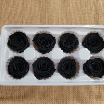 8 Pcs Preserved Black Roses: Rose Kanon Medium, Wedding Floral Decor