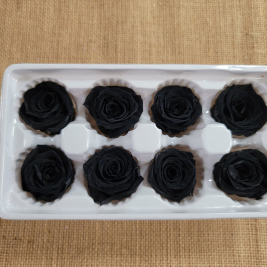 8 Pcs Preserved Black Roses: Rose Kanon Medium, Wedding Floral Decor