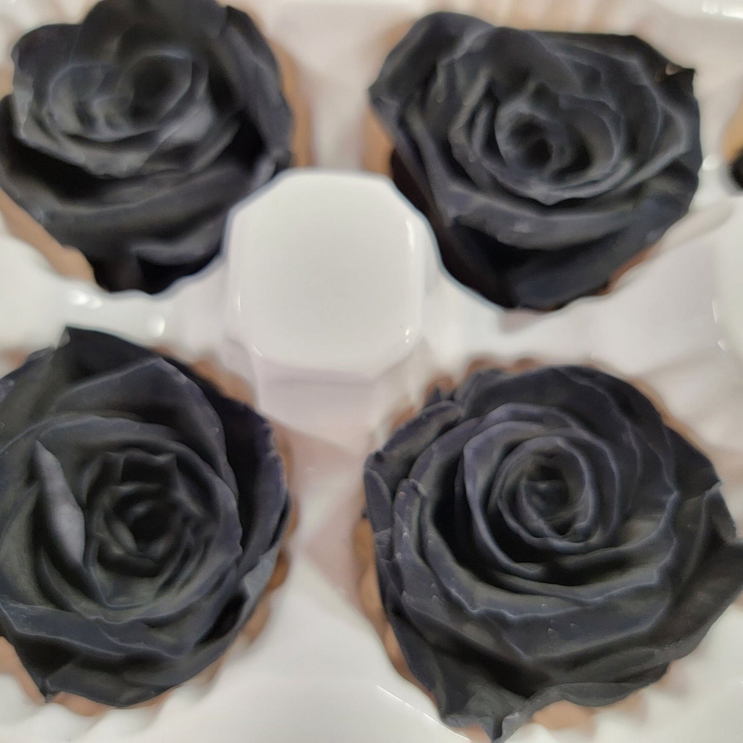 8 Pcs Preserved Black Roses: Rose Kanon Medium, Wedding Floral Decor