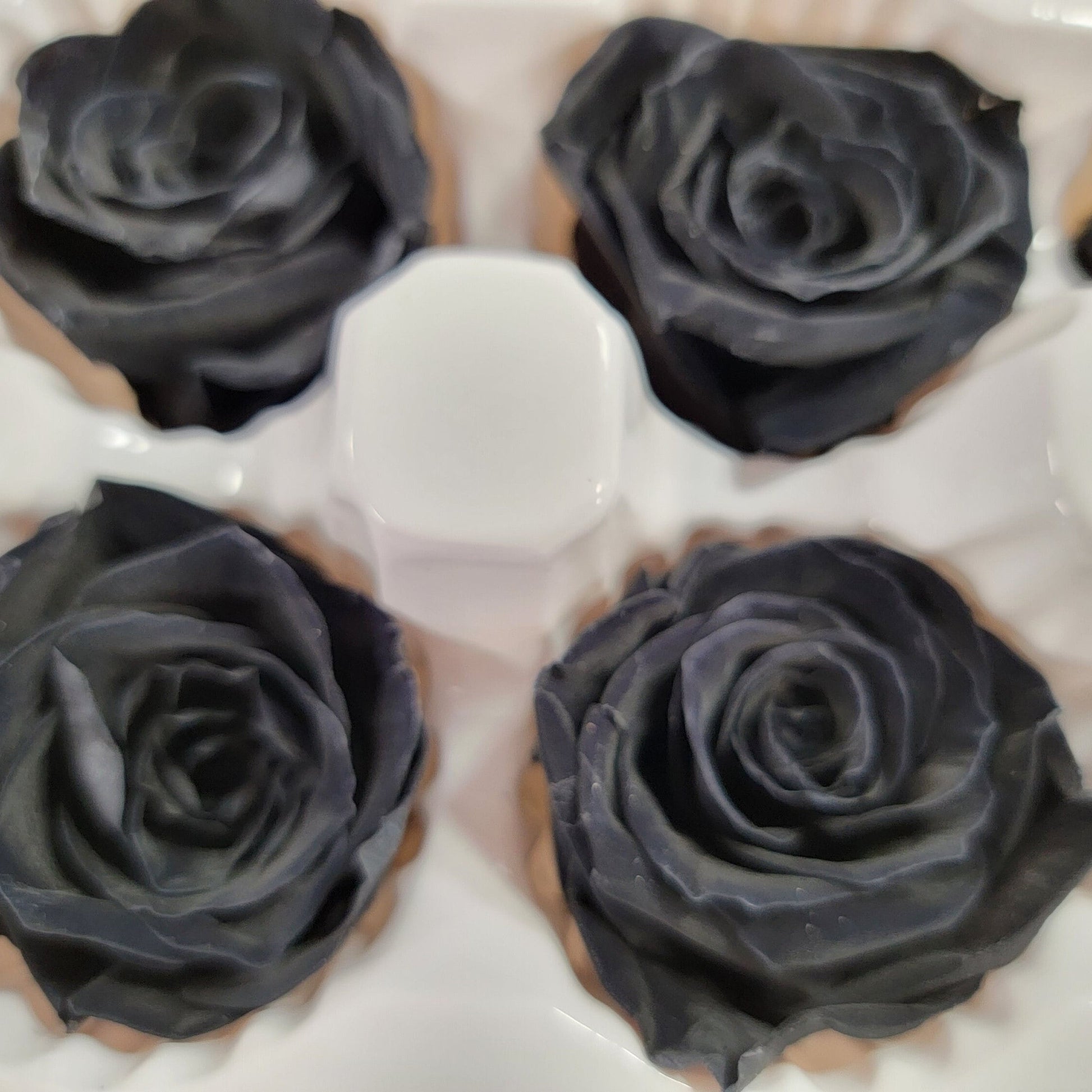 8 Pcs Preserved Black Roses: Rose Kanon Medium, Wedding Floral Decor