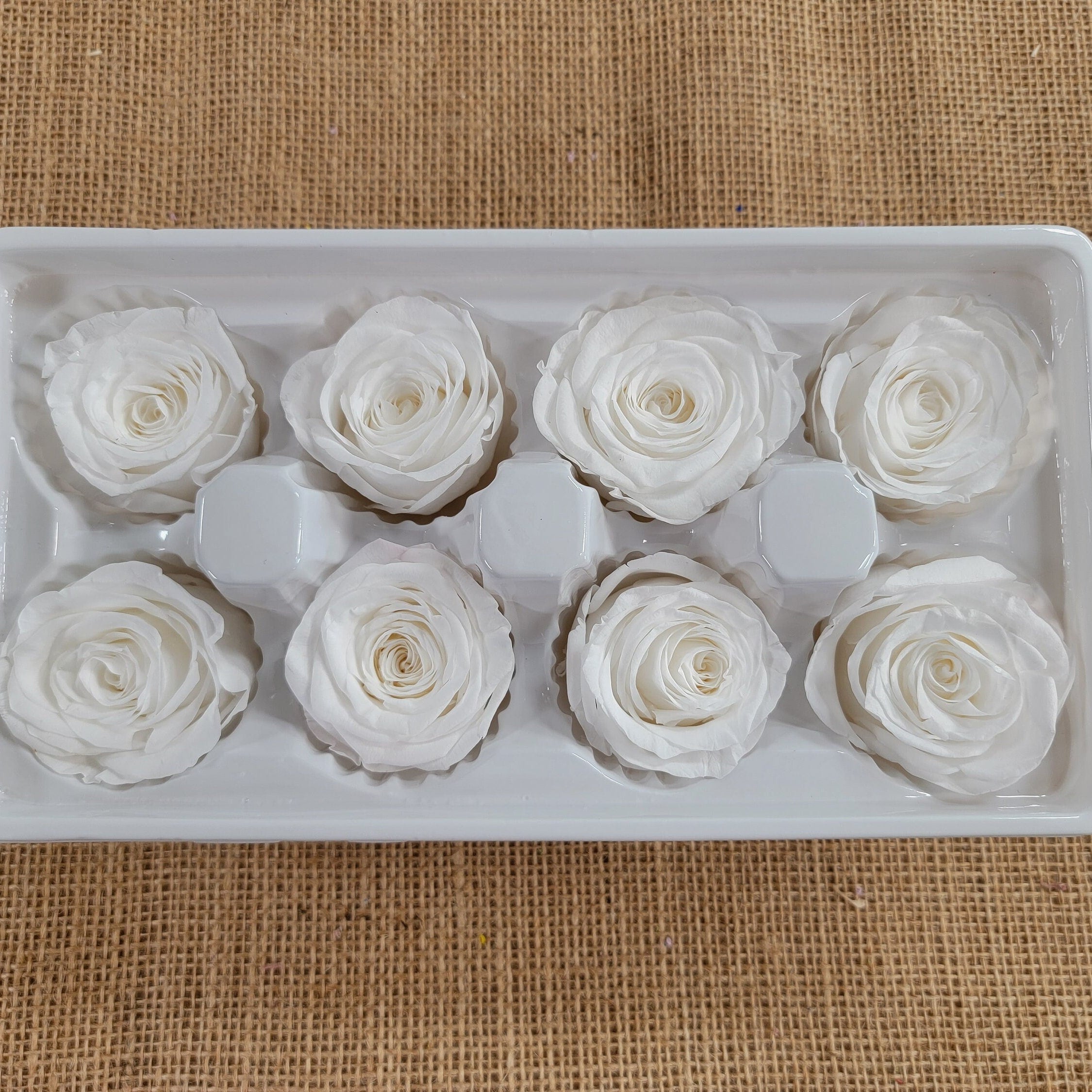8 White Preserved Roses: Medium Kanon Wedding Flowers