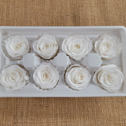 8 White Preserved Roses: Medium Kanon Wedding Flowers