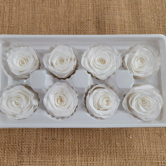 8 White Preserved Roses: Medium Kanon Wedding Flowers