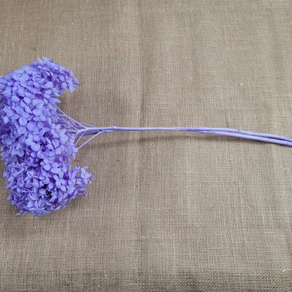 Violet Preserved Hydrangea: Real Dried Wedding Flowers