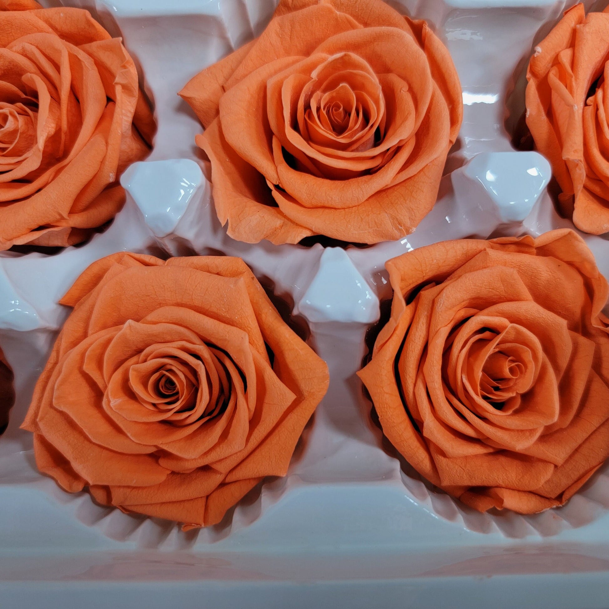 6 Orange Preserved Roses: DIY Floral Arrangements