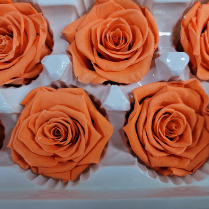6 Orange Preserved Roses: DIY Floral Arrangements