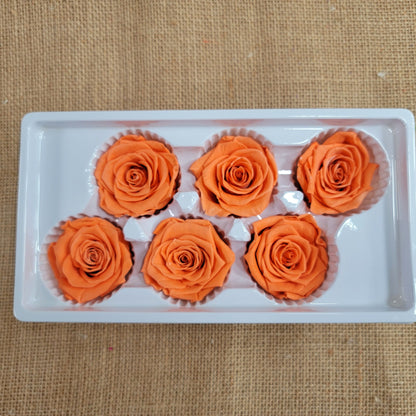 6 Orange Preserved Roses: DIY Floral Arrangements
