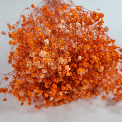 Orange Preserved Baby's Breath Bundle: Natural Gypsophila, Dried Flowers