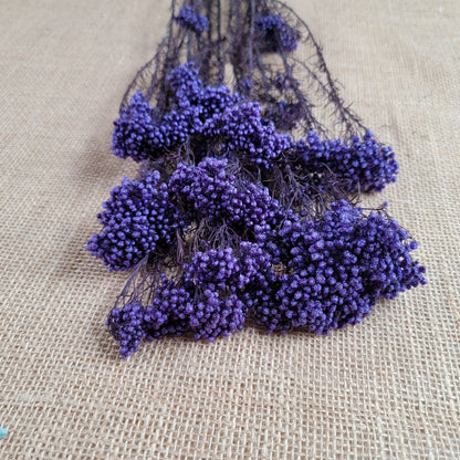 Purple Preserved Rice Flower: Dried Floral Arrangement Filler
