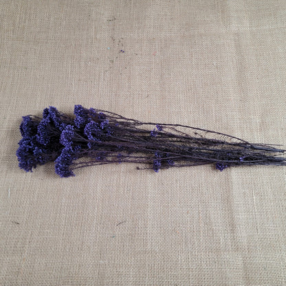 Purple Preserved Rice Flower: Dried Floral Arrangement Filler