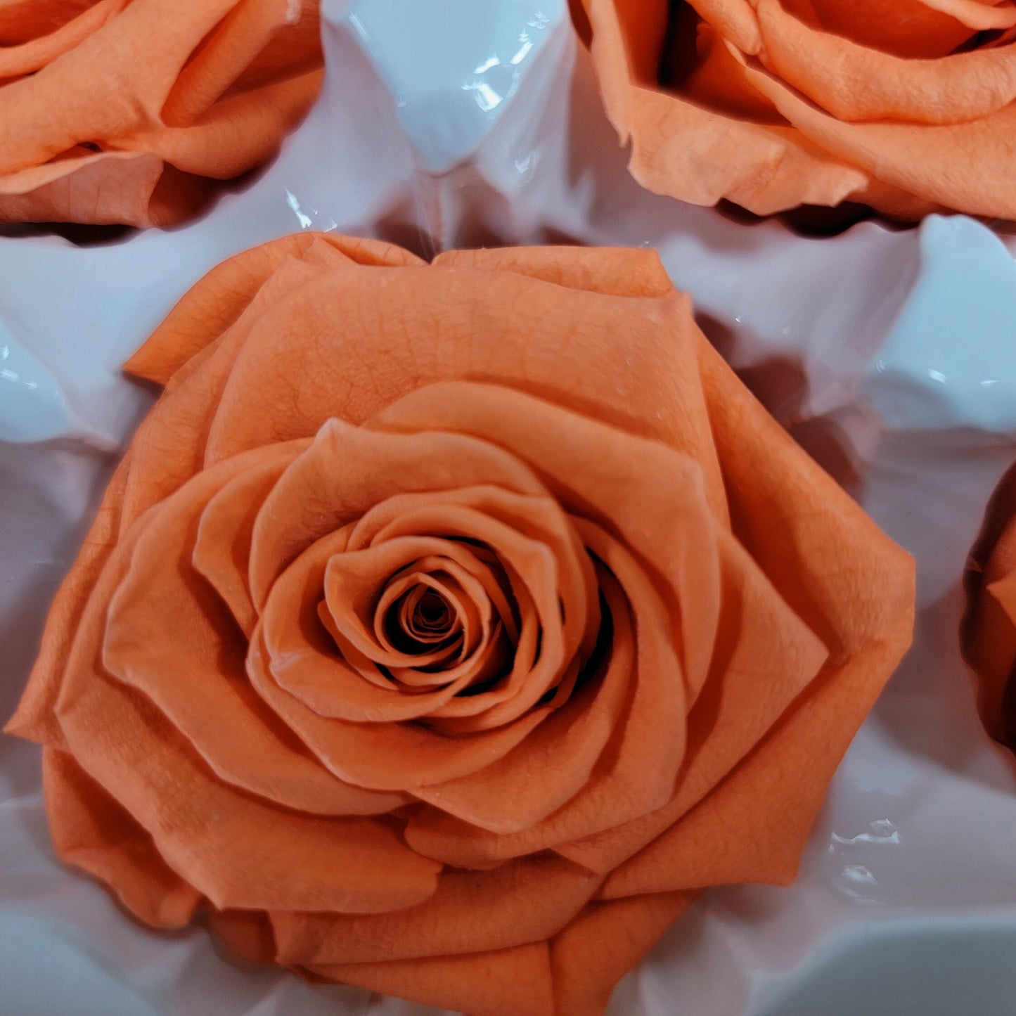 6 Orange Preserved Roses: DIY Floral Arrangements