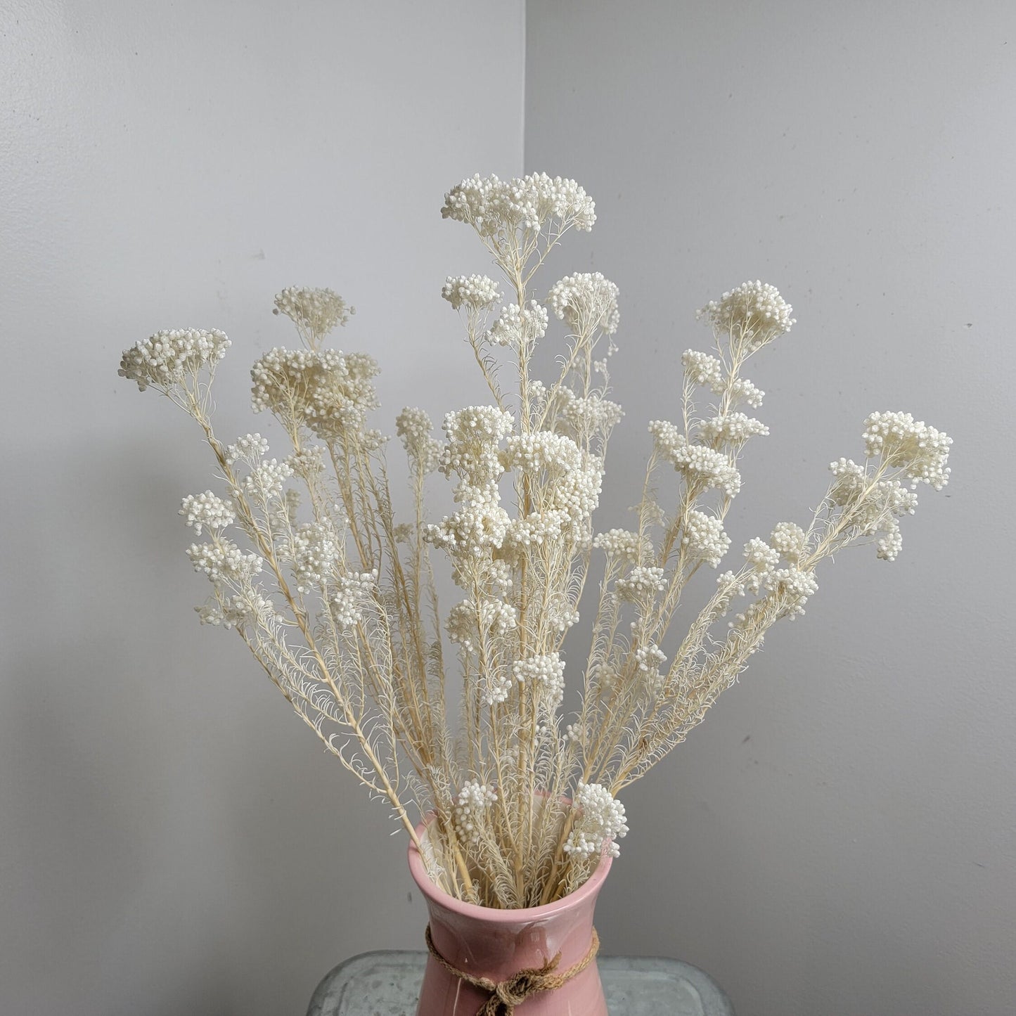 White Preserved rice flower, flowers for bouquets, wedding flowers, filler, dried flowers arrangements, Wedding decor, 19"-20"tall,