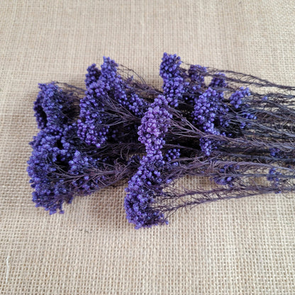 Purple Preserved Rice Flower: Dried Floral Arrangement Filler