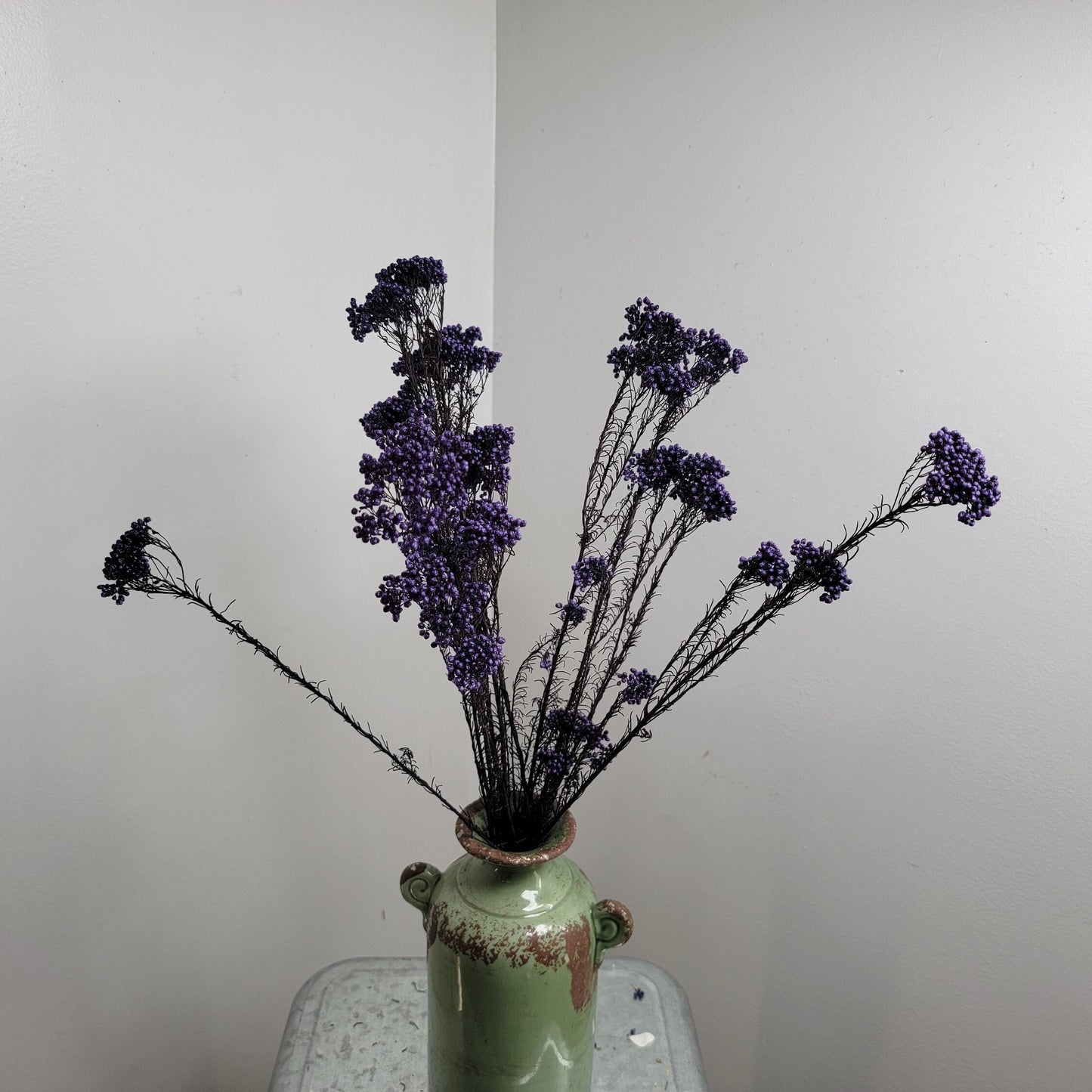 Purple Preserved Rice Flower: Dried Floral Arrangement Filler