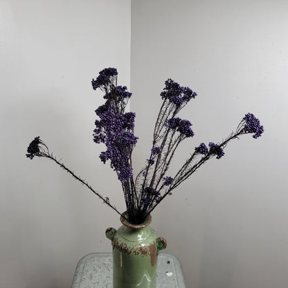 Purple Preserved Rice Flower: Dried Floral Arrangement Filler