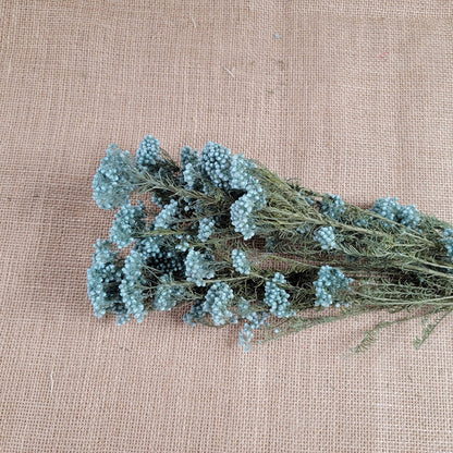 Light Blue Preserved Rice Flower, Wedding Bouquet Filler (19-20" Tall)